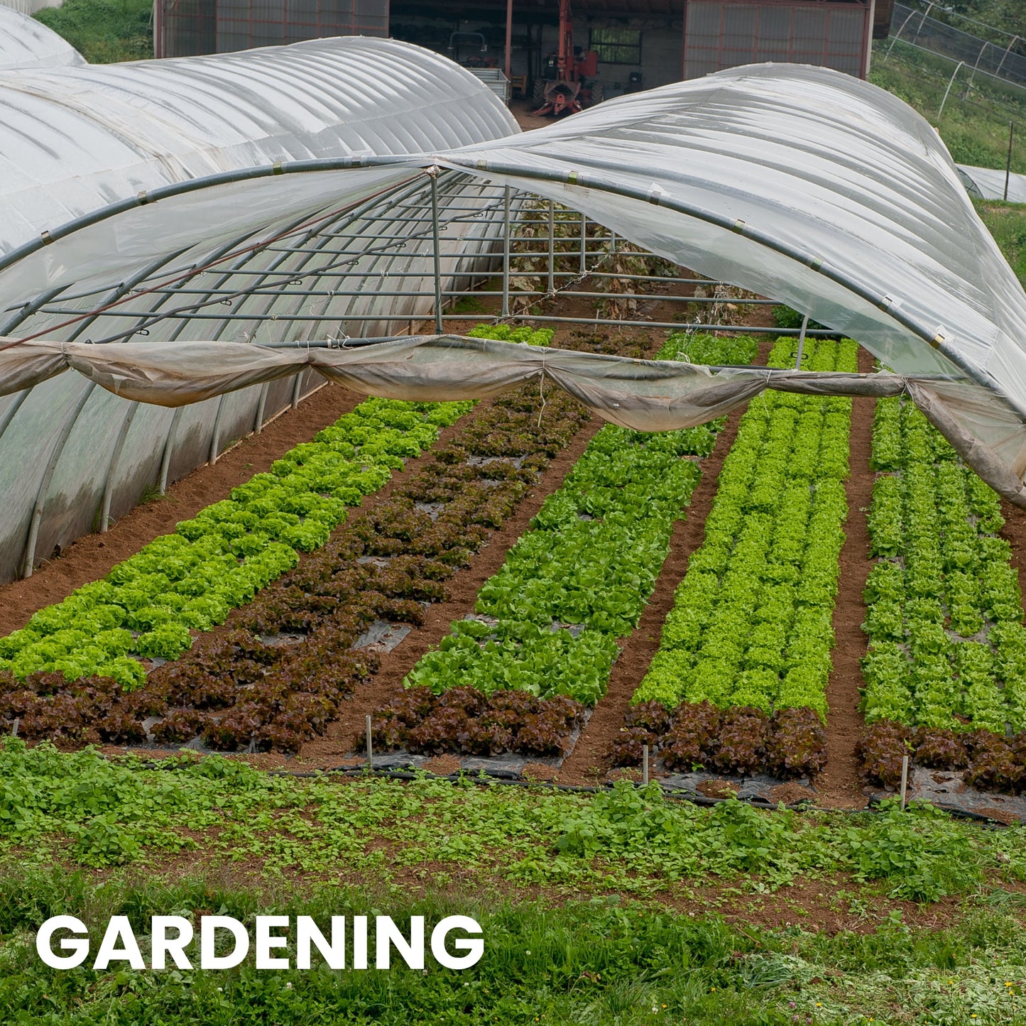 Plastic Sheeting – 10 x 25 ft, 6 Mil, UV-Resistant (Clear)