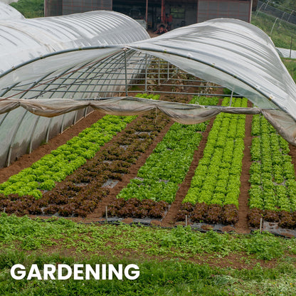 Plastic Sheeting – 10 x 25 ft, 6 Mil, UV-Resistant (Clear)