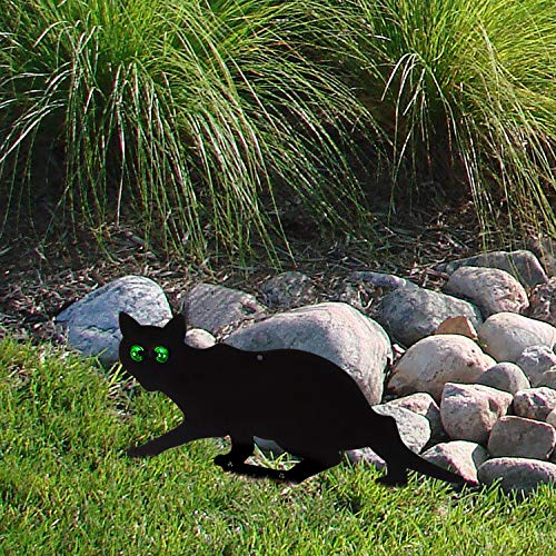 Garden Scare Cats with Reflective Eyes (Set of 4)