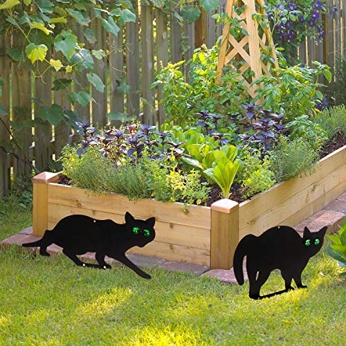 Garden Scare Cats with Reflective Eyes (Set of 4)
